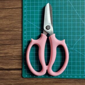 قیچی گل‌آرایی مخصوص | آموزشگاه نیلاگل